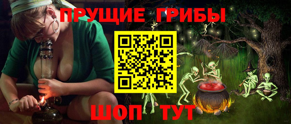 Псилоцибиновые грибы мицелий Фурманов