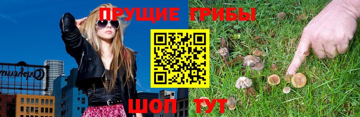 Фурманов  Галлюциногенные грибы ЛСД  Вход с VPN 